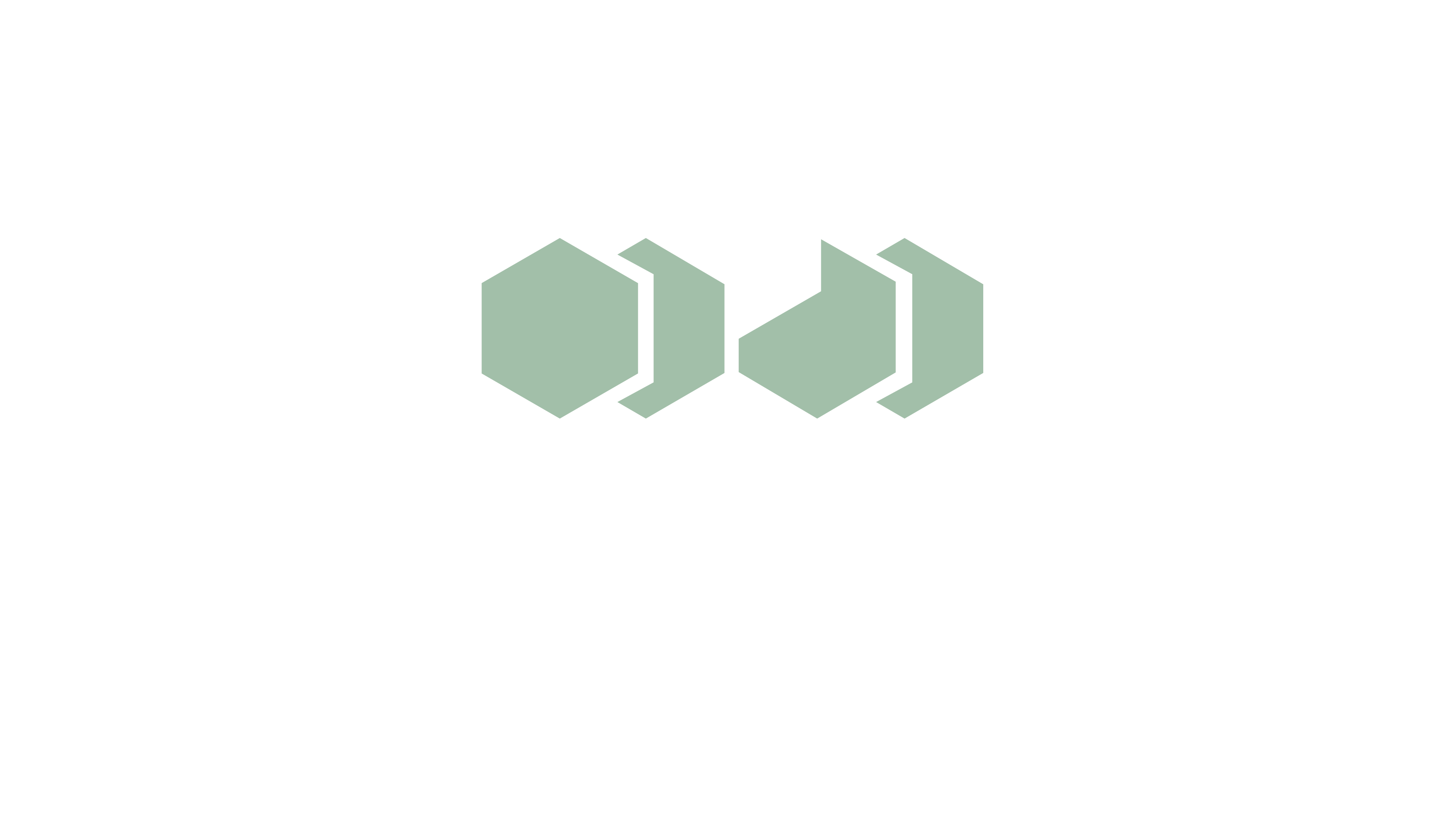van-vliet-logo-footer